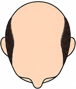 Stage 7